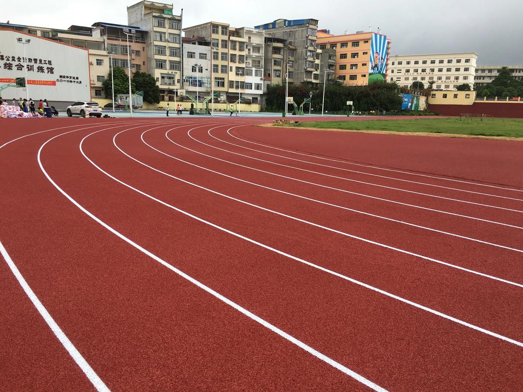 阿坝藏族羌族自治州塑胶跑道塑胶跑道材料 - 排名